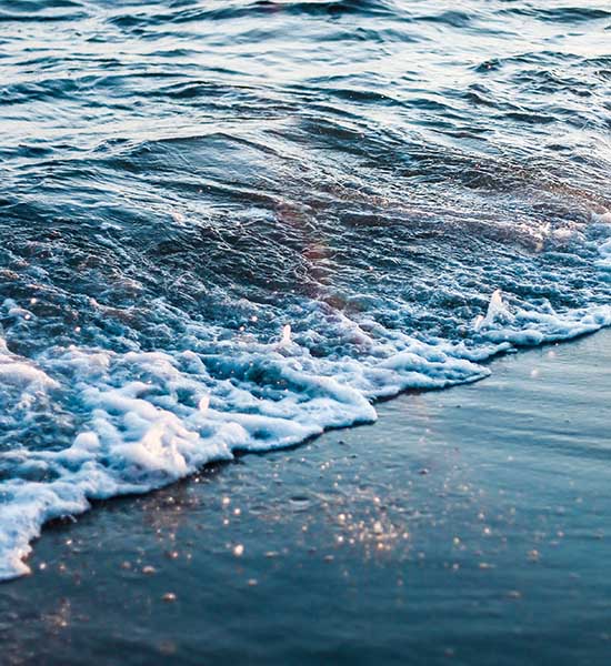 delfinstrategien-susanne-braack-landing-7-waves