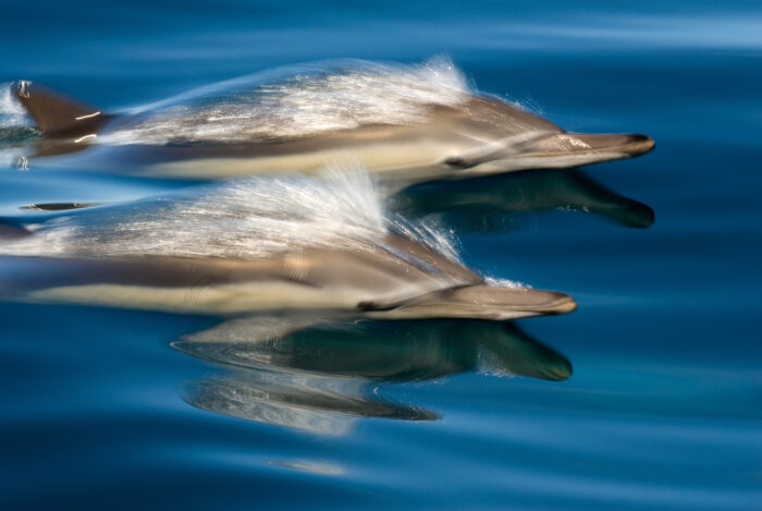Flow_down_under_02